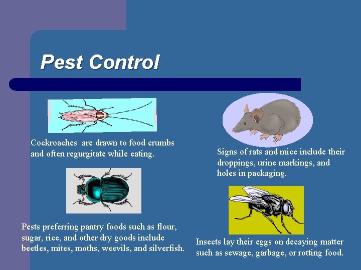 Pest Control Cockroaches are drawn to food crumbs and often regurgitate while eating. Pests