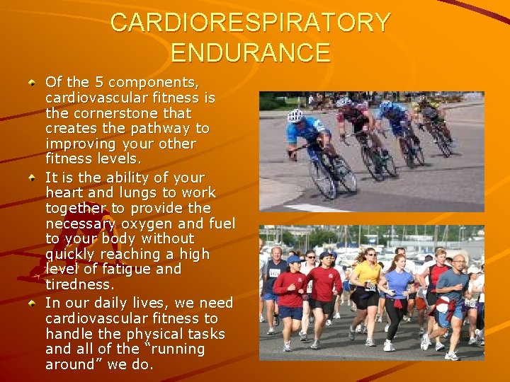 CARDIORESPIRATORY ENDURANCE Of the 5 components, cardiovascular fitness is the cornerstone that creates the