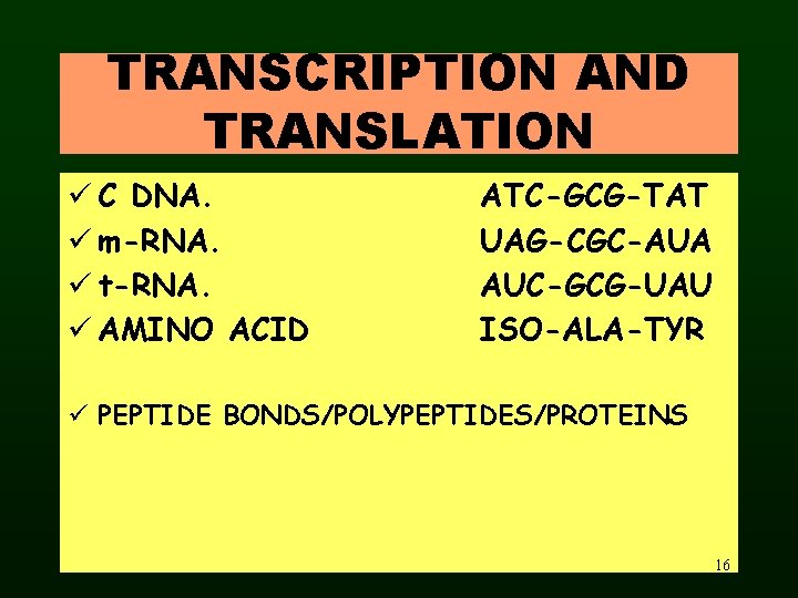 TRANSCRIPTION AND TRANSLATION ü C DNA. ü m-RNA. ü t-RNA. ü AMINO ACID ATC-GCG-TAT