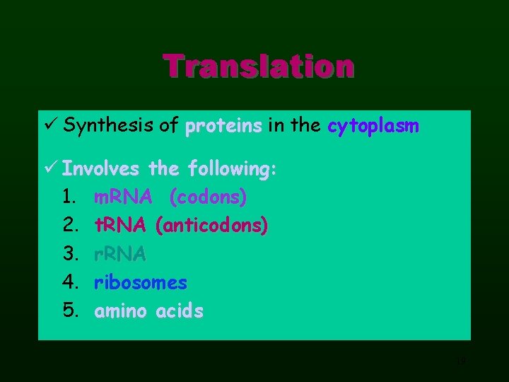 Translation ü Synthesis of proteins in the cytoplasm ü Involves the following: 1. m.