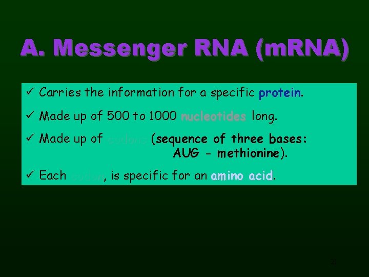 A. Messenger RNA (m. RNA) ü Carries the information for a specific protein ü