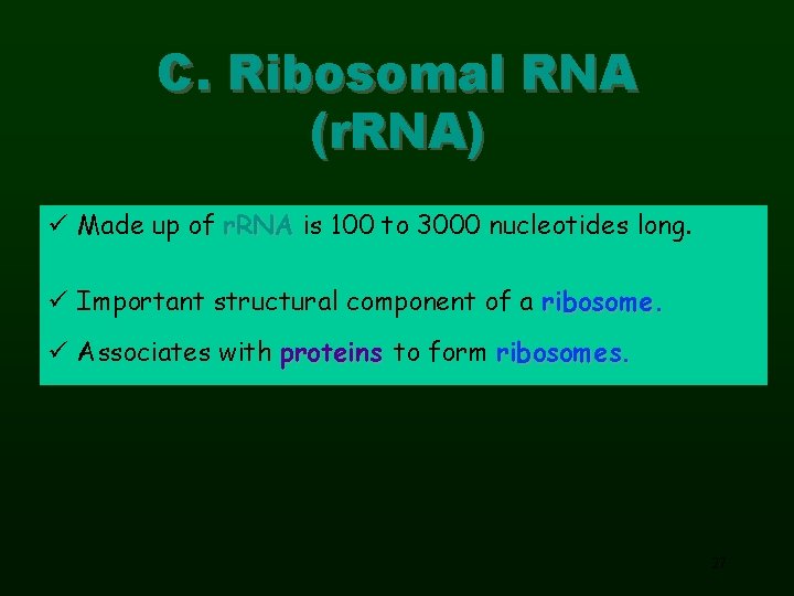 C. Ribosomal RNA (r. RNA) ü Made up of r. RNA is 100 to