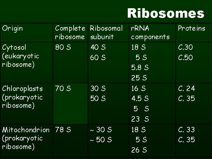 Ribosomes Origin Cytosol (eukaryotic ribosome) Chloroplasts (prokaryotic ribosome) Complete Ribosomal ribosome subunit 80 S