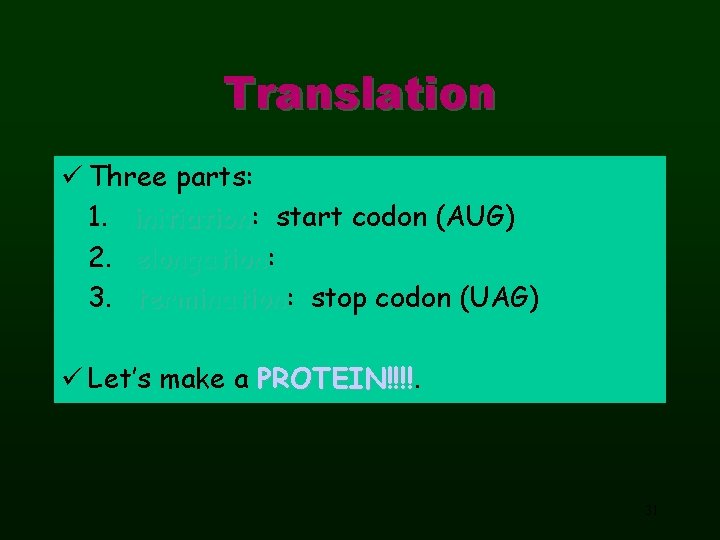 Translation ü Three parts: 1. initiation: initiation start codon (AUG) 2. elongation: elongation 3.