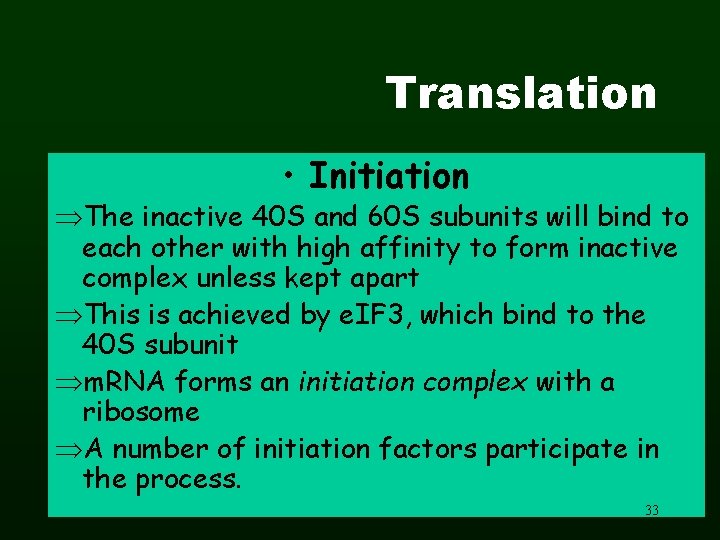 Translation • Initiation The inactive 40 S and 60 S subunits will bind to