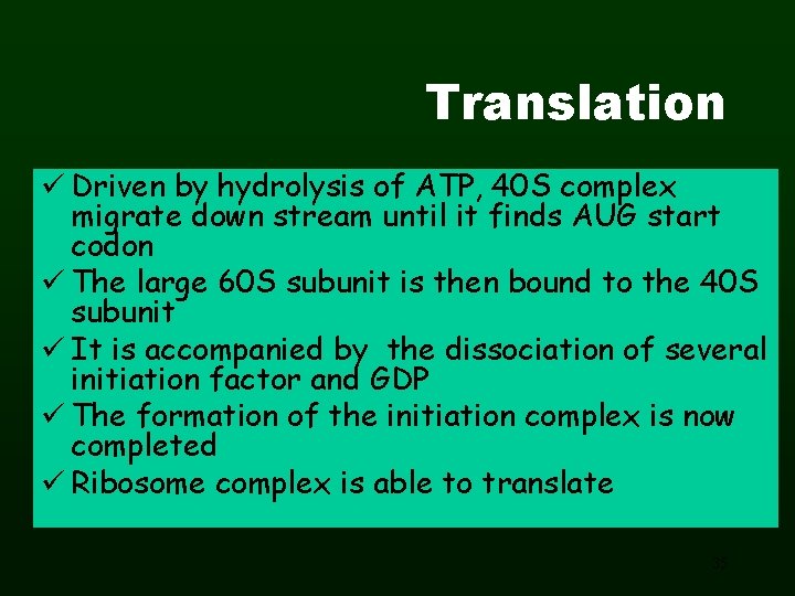 Translation ü Driven by hydrolysis of ATP, 40 S complex migrate down stream until