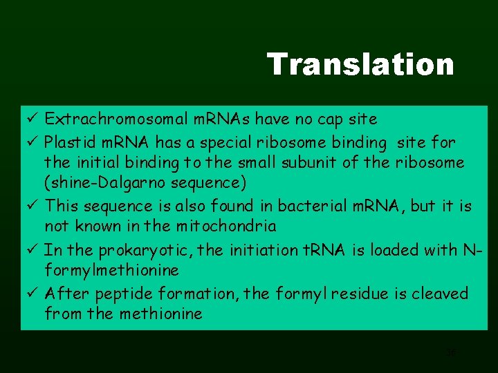 Translation ü Extrachromosomal m. RNAs have no cap site ü Plastid m. RNA has