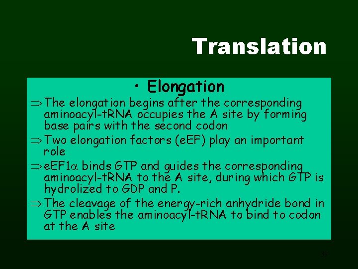 Translation • Elongation The elongation begins after the corresponding aminoacyl-t. RNA occupies the A
