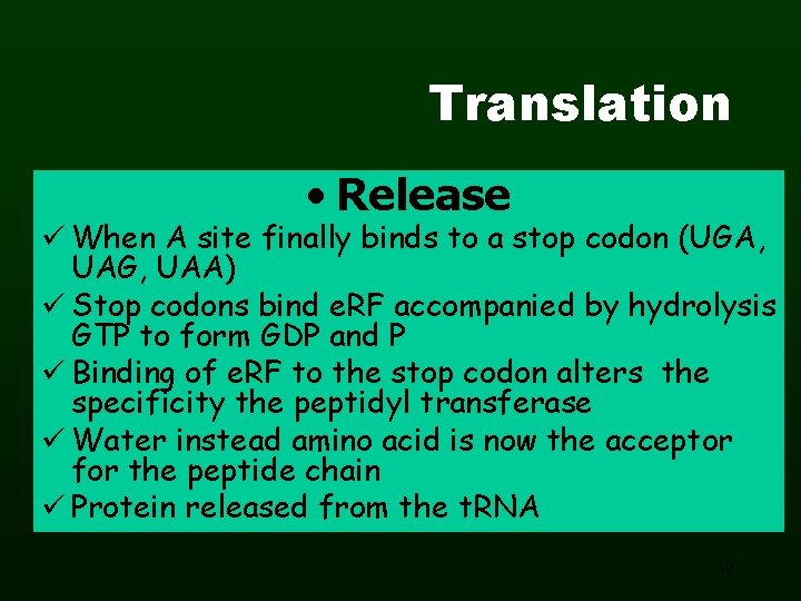 Translation • Release ü When A site finally binds to a stop codon (UGA,