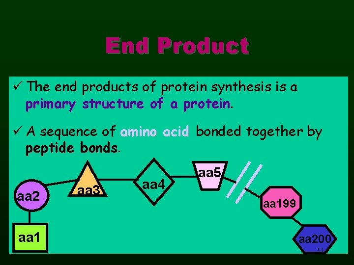 End Product ü The end products of protein synthesis is a primary structure of