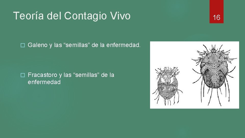 Teoría del Contagio Vivo � Galeno y las “semillas” de la enfermedad. � Fracastoro Teoría del Contagio Vivo � Galeno y las “semillas” de la enfermedad. � Fracastoro