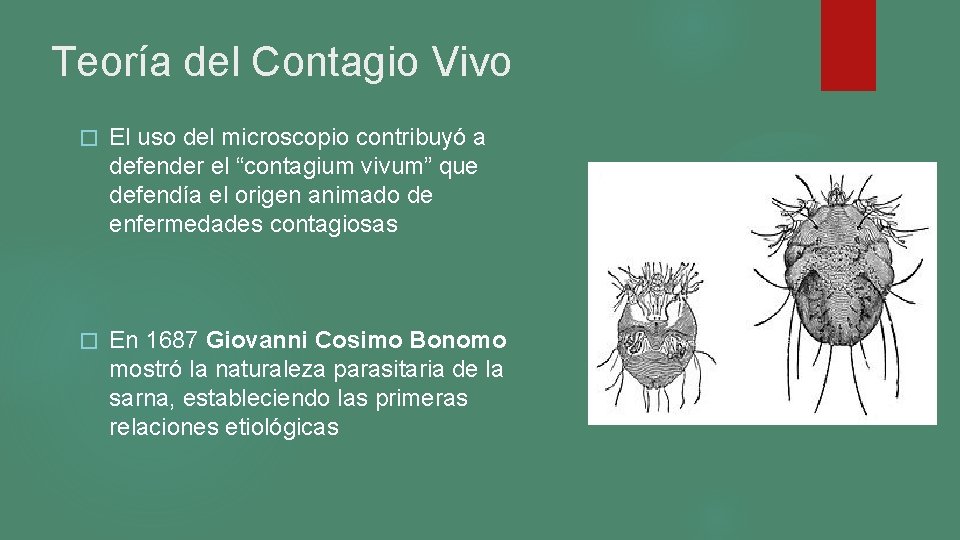 Teoría del Contagio Vivo � El uso del microscopio contribuyó a defender el “contagium Teoría del Contagio Vivo � El uso del microscopio contribuyó a defender el “contagium