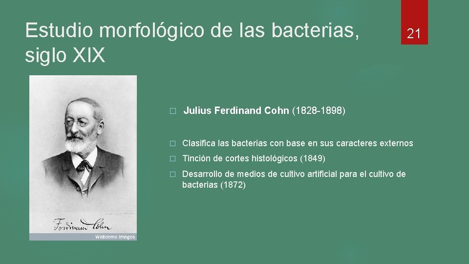 Estudio morfológico de las bacterias, siglo XIX 21 � Julius Ferdinand Cohn (1828 -1898) Estudio morfológico de las bacterias, siglo XIX 21 � Julius Ferdinand Cohn (1828 -1898)