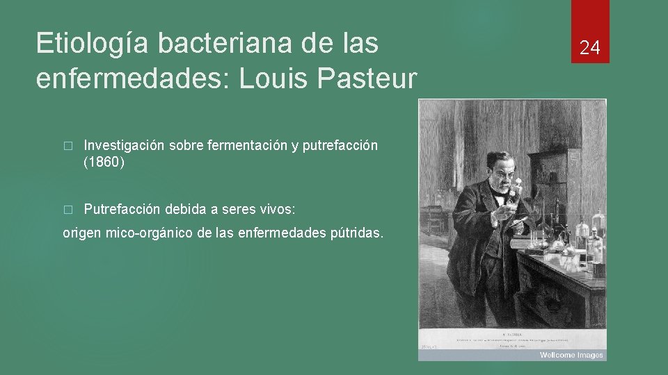 Etiología bacteriana de las enfermedades: Louis Pasteur � Investigación sobre fermentación y putrefacción (1860) Etiología bacteriana de las enfermedades: Louis Pasteur � Investigación sobre fermentación y putrefacción (1860)