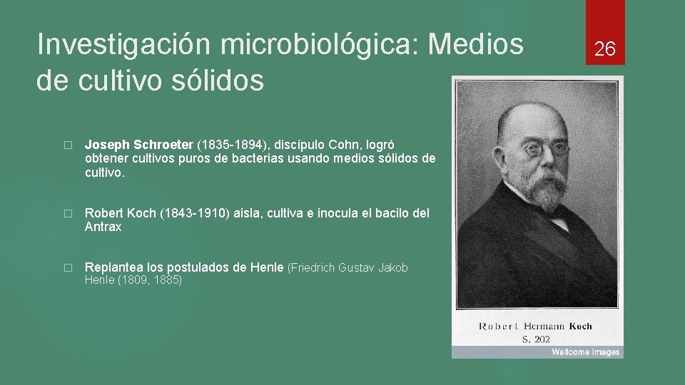 Investigación microbiológica: Medios de cultivo sólidos � Joseph Schroeter (1835 -1894), discípulo Cohn, logró Investigación microbiológica: Medios de cultivo sólidos � Joseph Schroeter (1835 -1894), discípulo Cohn, logró