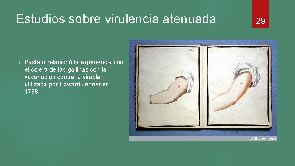 Estudios sobre virulencia atenuada � Pasteur relacionó la experiencia con el cólera de las Estudios sobre virulencia atenuada � Pasteur relacionó la experiencia con el cólera de las