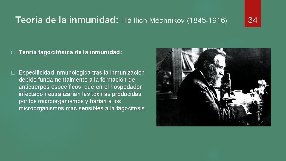 Teoría de la inmunidad: Iliá Ilich Méchnikov (1845 -1916) � Teoría fagocitósica de la Teoría de la inmunidad: Iliá Ilich Méchnikov (1845 -1916) � Teoría fagocitósica de la