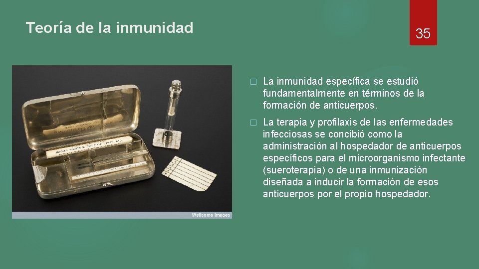 Teoría de la inmunidad 35 � La inmunidad específica se estudió fundamentalmente en términos Teoría de la inmunidad 35 � La inmunidad específica se estudió fundamentalmente en términos
