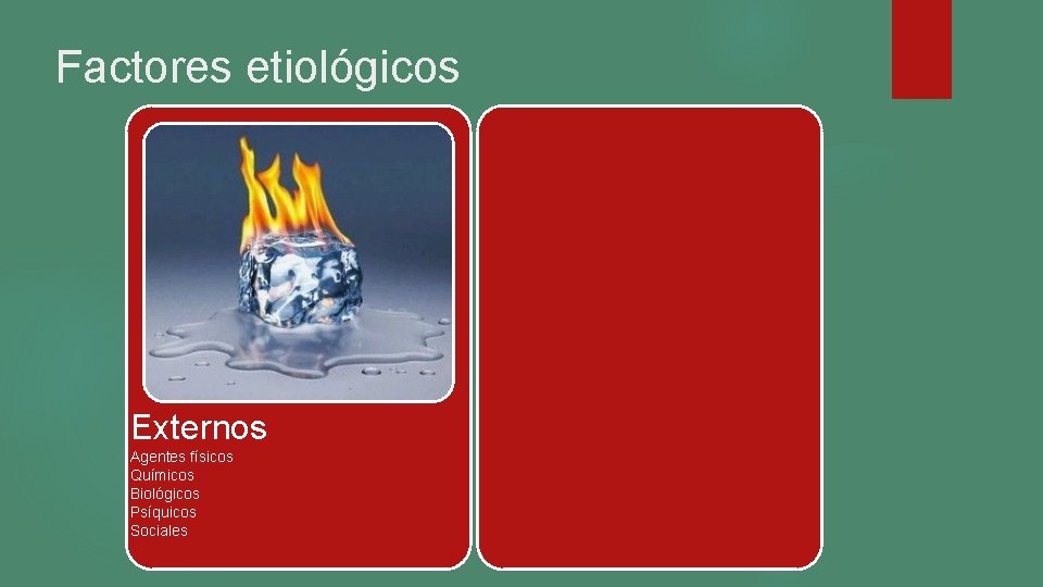 Factores etiológicos Externos Agentes físicos Químicos Biológicos Psíquicos Sociales Factores etiológicos Externos Agentes físicos Químicos Biológicos Psíquicos Sociales