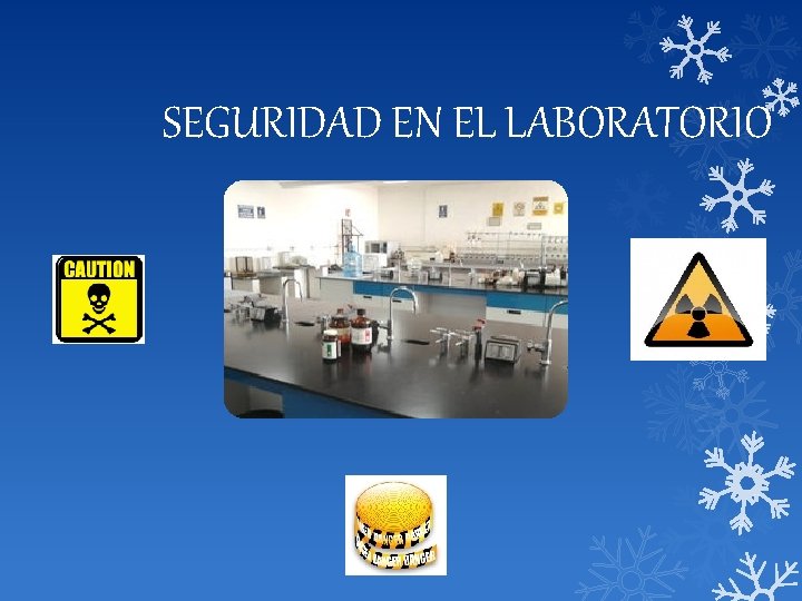 SEGURIDAD EN EL LABORATORIO 