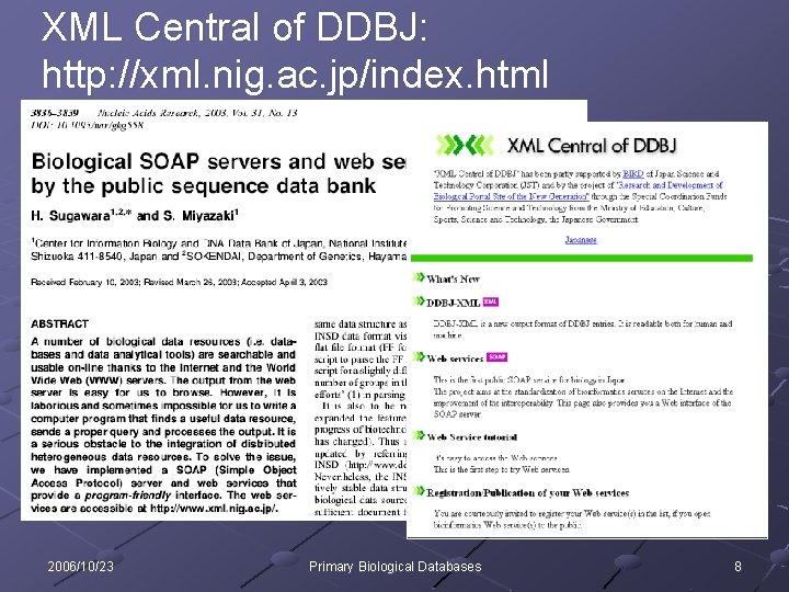 XML Central of DDBJ: http: //xml. nig. ac. jp/index. html 2006/10/23 Primary Biological Databases