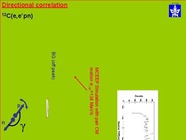 Directional correlation 12 C(e, e’pn) n γ MCEEP Simulation with pair CM motion σCM=136