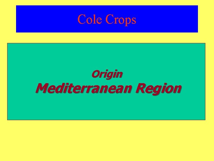 Cole Crops Origin Mediterranean Region 