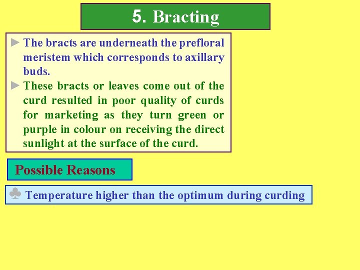5. Bracting ► The bracts are underneath the prefloral meristem which corresponds to axillary