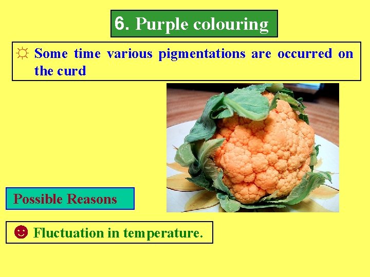 6. Purple colouring ☼ Some time various pigmentations are occurred on the curd Possible