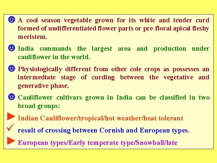 ☻A cool season vegetable grown for its white and tender curd formed of undifferentiated