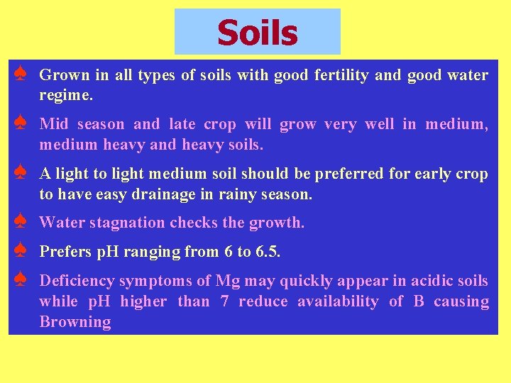 Soils ♠ Grown in all types of soils with good fertility and good water