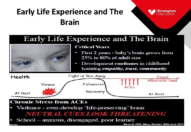 Early Life Experience and The Brain 