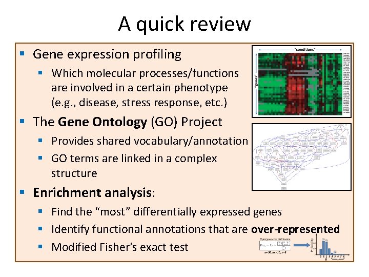 A quick review § Gene expression profiling § Which molecular processes/functions are involved in