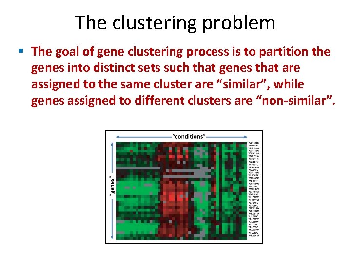 The clustering problem § The goal of gene clustering process is to partition the