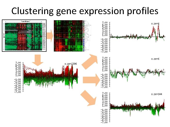 Clustering gene expression profiles 