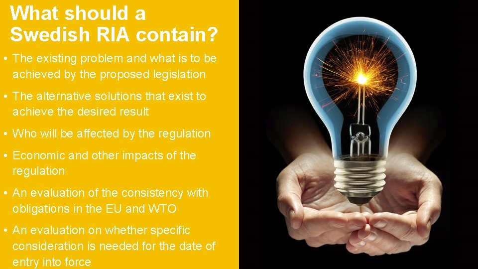 What should a Swedish RIA contain? • The existing problem and what is to