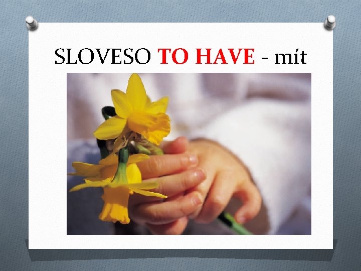 SLOVESO TO HAVE - mít 