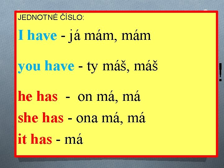 JEDNOTNÉ ČÍSLO: I have - já mám, mám you have - ty máš, máš