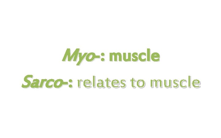 Myo-: muscle Sarco-: relates to muscle 