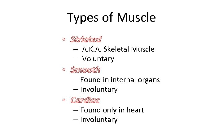Types of Muscle • Striated – A. K. A. Skeletal Muscle – Voluntary •