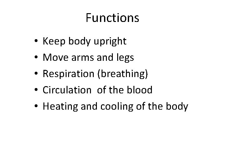 Functions • • • Keep body upright Move arms and legs Respiration (breathing) Circulation