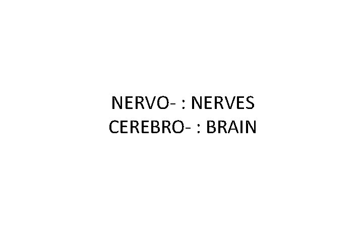 NERVO- : NERVES CEREBRO- : BRAIN 