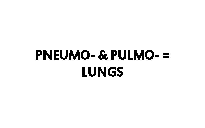 PNEUMO- & PULMO- = LUNGS 