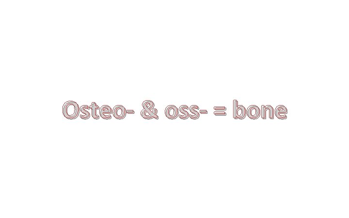 Osteo- & oss- = bone 