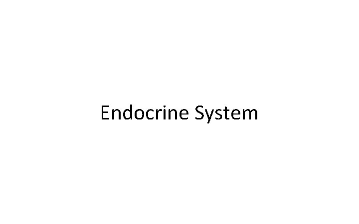 Endocrine System 