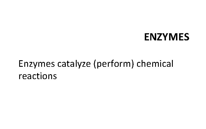 ENZYMES Enzymes catalyze (perform) chemical reactions 