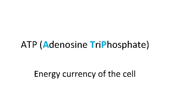 ATP (Adenosine Tri. Phosphate) Energy currency of the cell 