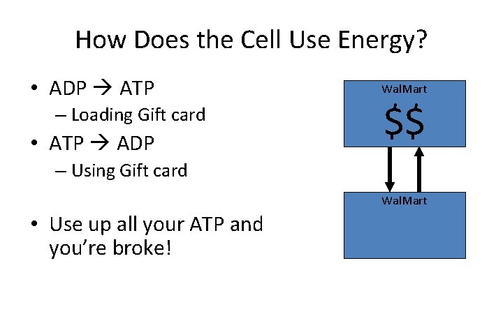How Does the Cell Use Energy? • ADP ATP – Loading Gift card •