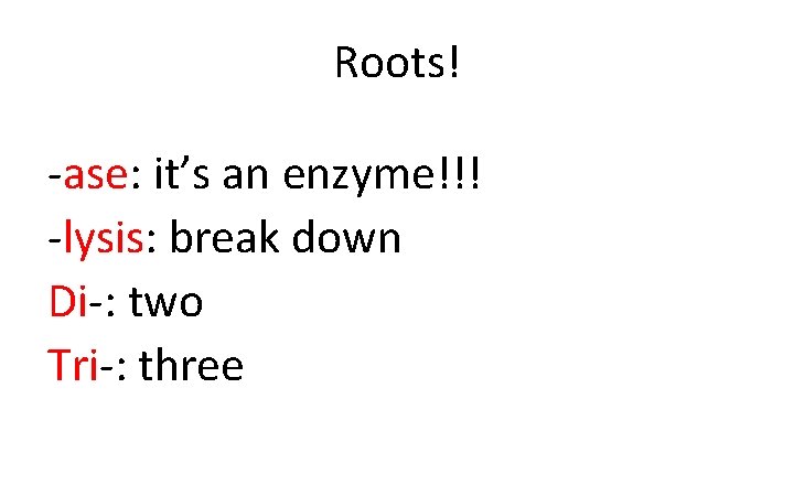 Roots! -ase: it’s an enzyme!!! -lysis: break down Di-: two Tri-: three 