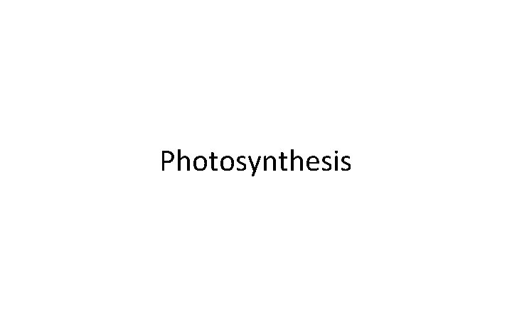 Photosynthesis 